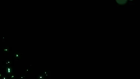 Green connections. Growing strands of optical fibers. Black background. Depth of Stock Footage 88461789