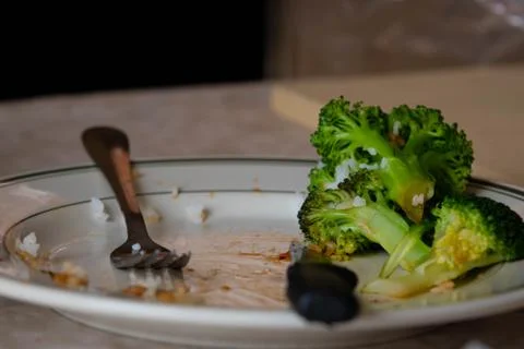 Green cooked broccoli vegetables Stock Photos