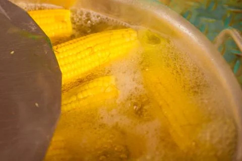 Green Corn Cooked Stock-Fotos