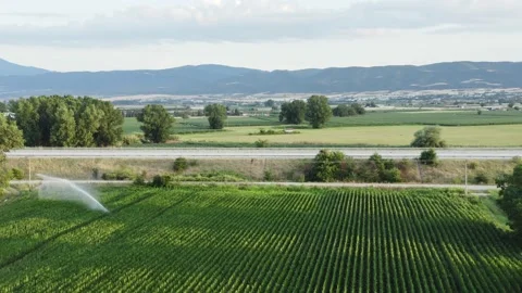 Green corn field and highway, aerial view. Stock Footage 133380818