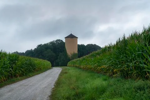 Green corn fields and an old tower on cloudy day Stock Photos