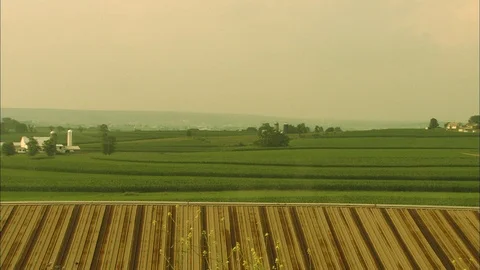 Green corn fields over rusted chicken coup roof on Pennsylvania farm in summer Stock Footage 86844816