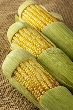 Green corn on the wooden table. Stock Photos