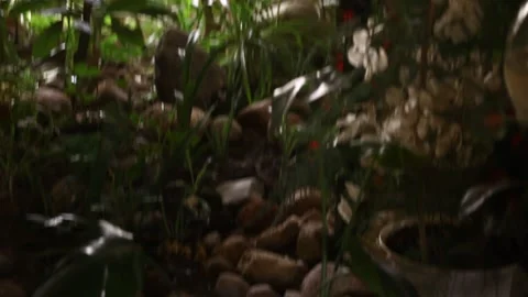 Green corner with a parrot Stockbeeldmateriaal 164444310