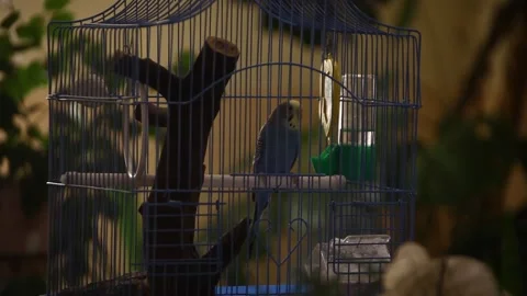 Green corner with a parrot Stockbeeldmateriaal 164444812