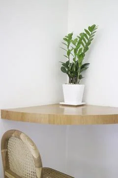 Green corner with plants in the interior Stock Photos
