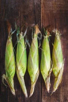 Green corns Stock-Fotos