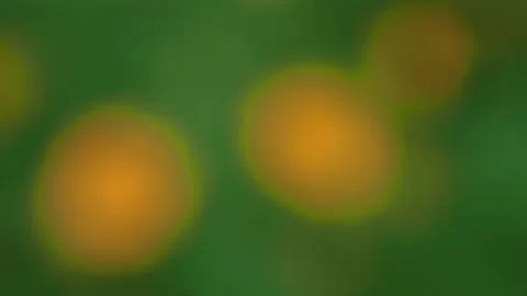 Green coronavirus blur background. Stock Footage 157271004