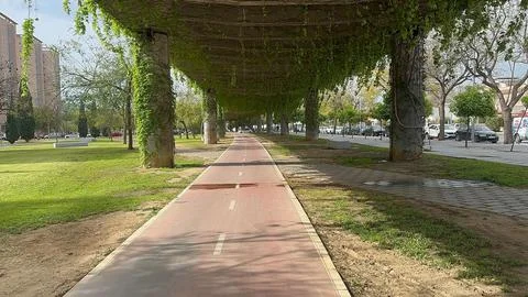 Green Corridor of Time Stock Photos