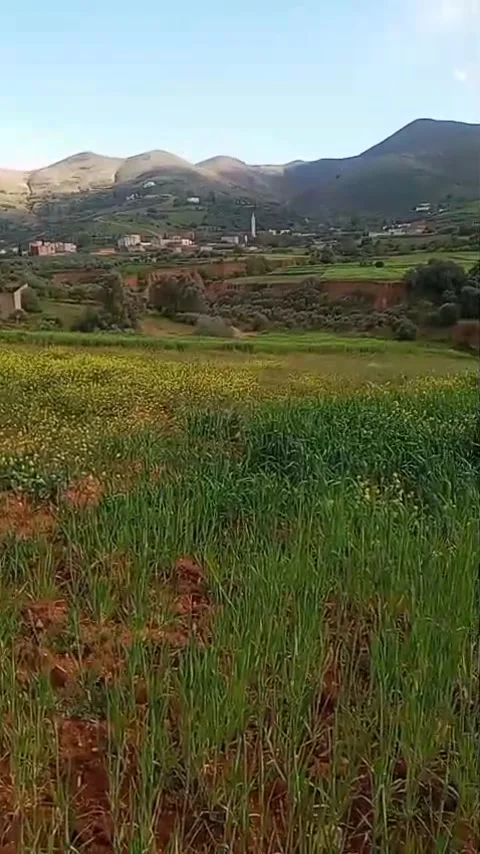 Green Countryside Fields and Mountains with Rural Village View, Morocco Stock Footage 335477441