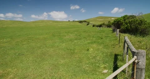 Green Countryside Landscape Video stock 330383296