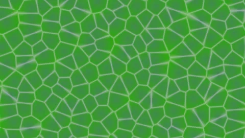 Green Cracked Earth Surface Texture Pattern. Stock Footage 329928487
