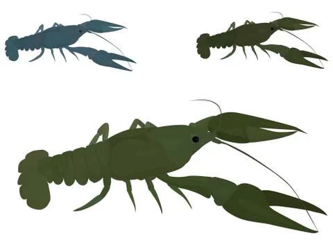 Green crayfish Stock Illustration