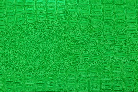 Green crocodile leather texture. Abstract backdrop for design. Stock Photos