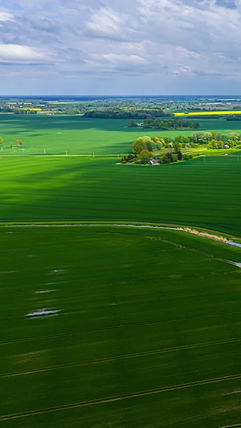 Green crop fields with wheel tracks, lane and homes, vertical aerial time lapse Stock Footage 348344032