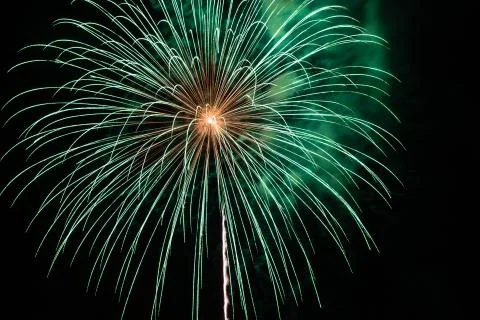 Green Crysanthemum firework exploding in the sky Foto stock