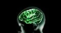green crystal brain and head Illustration