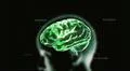 green crystal brain and head timecode Illustration