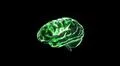 green crystal brain still render Illustration