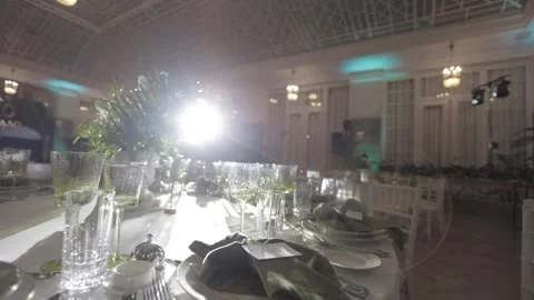 GREEN CRYSTAL GLASSES ON THE TABLE Stock Footage 300031353