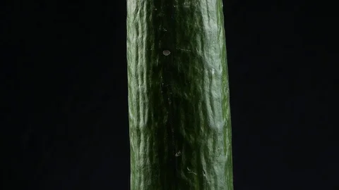 Green Cucumber close-up texture Stock Footage 102174629