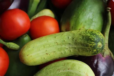 Green cucumber display with selective focus and fresh various raw organic vegeta 库存照片
