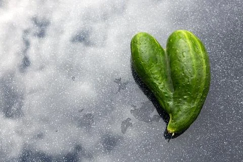 Green cucumber on the gray table background. Stock Photos
