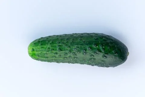 Green cucumber on a light background Stock Photos