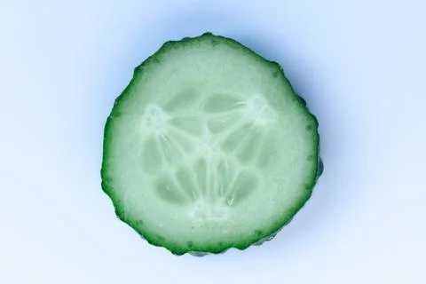 Green cucumber on a light background Stock Photos