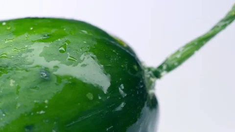 Green cucumber, macro video on a white background Stock Footage 123971298