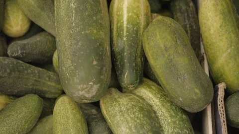 Green cucumber pan shoot Stock Footage 79600615