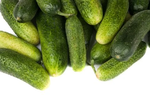 Green cucumber Stock Photos
