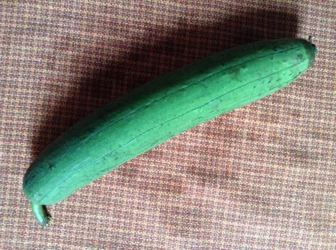 Green Cucumber Stock Photos