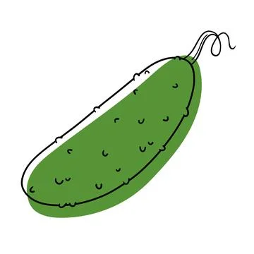 Green cucumber. Stylized flat vegetable. Cucumber vector. Stock Illustration