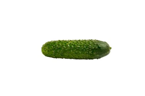 Green cucumber on a white background isolate Stock Photos