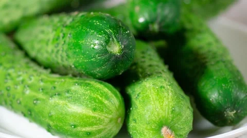 Green cucumber on white plate close-up Stock Footage 132745891