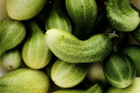 Green cucumbers, background Stock Photos