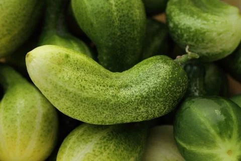 Green cucumbers, background Stock Photos