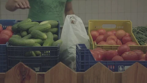 Green cucumbers Stock Footage 77155424