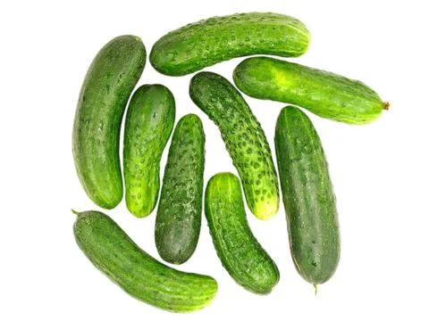 Green cucumbers. Stock Photos