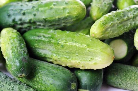 Green cucumbers. Stock Photos