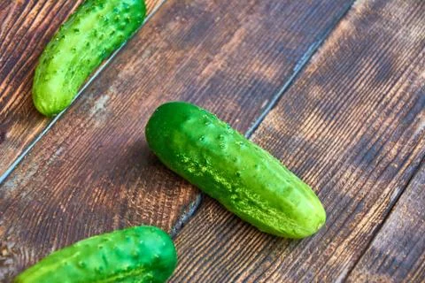 Green cucumbers with pimples on dark rustic wooden background. Organic food c 스톡 사진