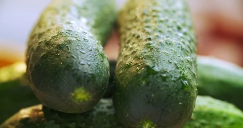 Green cucumbers rotate around an axis. Macro shot. Natural vegetables without Vídeo Stock 116243541