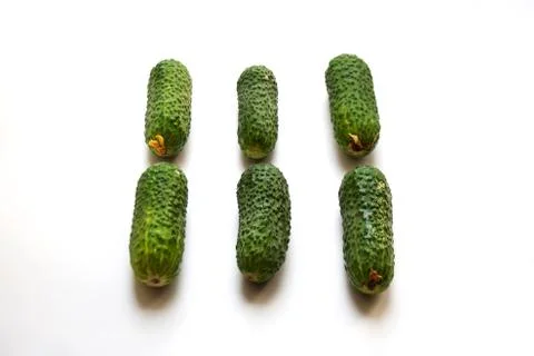 Green cucumbers on white background Stock Photos