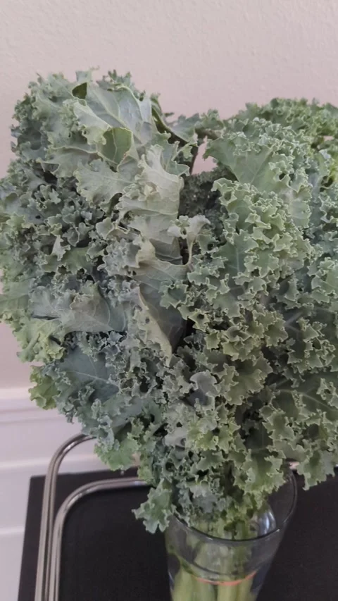 Green curly kale Stock Footage 300878176