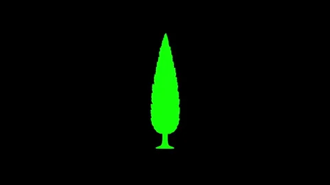 Green cypress tree growing and disintegrating on black background Video stock 320201546