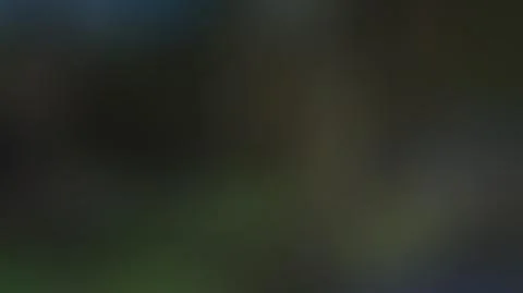 Green, dark blurred background vector Stock Illustration