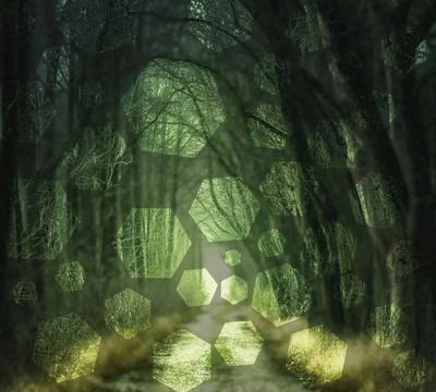 Green dark forest and path Stock Photos