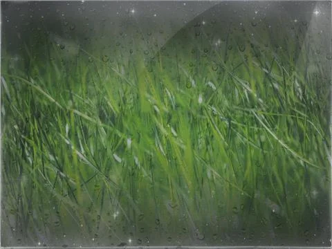 Green-dark Grass Stock Photos