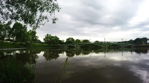 Green Day In The Park Stock Footage 65364288